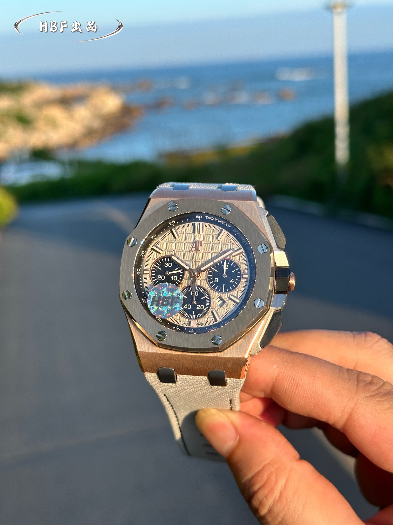 Audemars Piguet watch